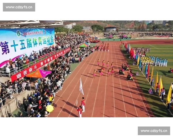 体育比赛技术统计分析与应用实践探讨及其对比赛策略的影响