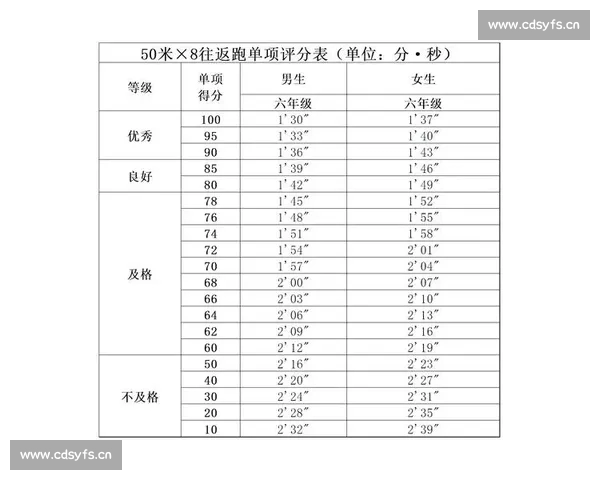 体育比分官网实时数据分析与赛事资讯平台专业权威投注平台指南