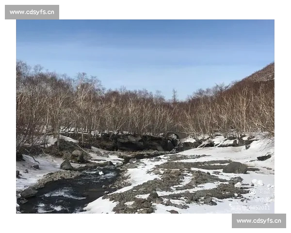 高清流畅足球直播APP下载指南免费看多平台赛事精彩实时更新 - 副本 - 副本 - 副本 (5)